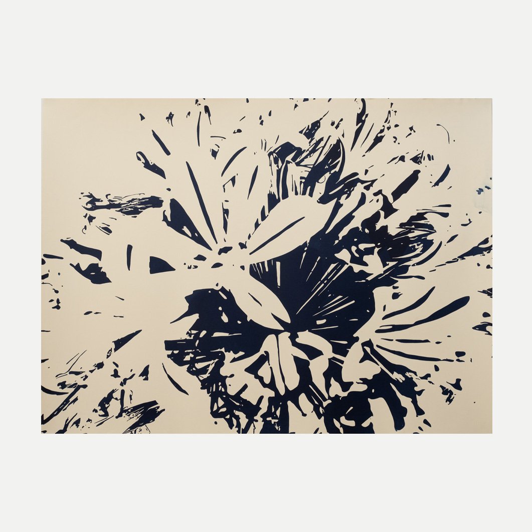 Agapanthus-Exploded-II-01