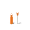 Cooler Box Set & Field Bottle / Orchard Orange