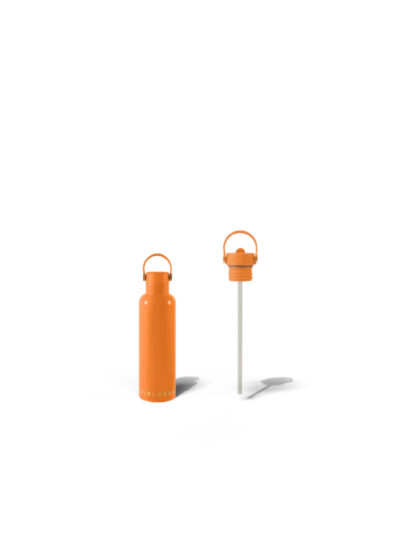 Cooler Box Set & Field Bottle / Orchard Orange