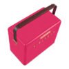 Fieldbar Limited Edition Yuppiechef Pink Gin Trunk, 24L