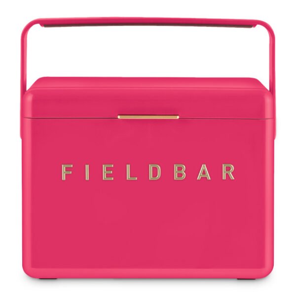 hcfb3p213cm11 Fieldbar Limited Edition Yuppiechef Pink Mini Bar, 4L