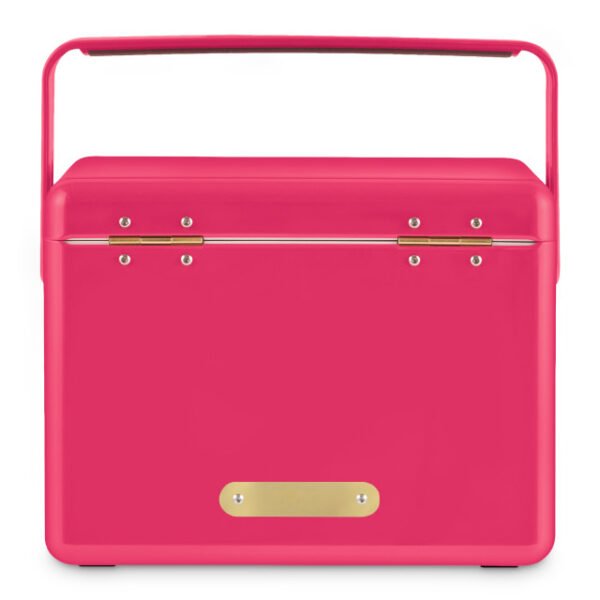 hcfb3p213cm13 Fieldbar Limited Edition Yuppiechef Pink Mini Bar, 4L