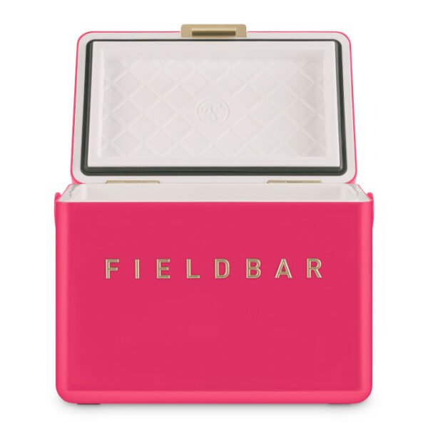 hcfb3p213cm18 Fieldbar Limited Edition Yuppiechef Pink Mini Bar, 4L