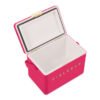 hcfb3p213cm19 Fieldbar Limited Edition Yuppiechef Pink Mini Bar, 4L